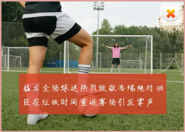 猛龙全场球迷热烈致敬洛瑞绝对功臣在垃圾时间重返赛场引发掌声