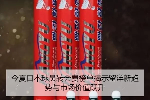 今夏日本球员转会费榜单揭示留洋新趋势与市场价值跃升